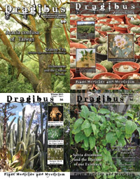 Dragibus Magazine - Psychoactive Insects, Calamus Porter