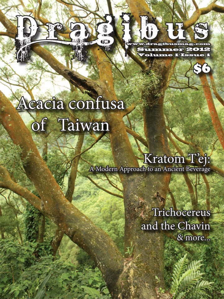  Acacia confusa of Taiwan, Trichocereus and the Chavin, Kratom Tej - Dragibus Magazine