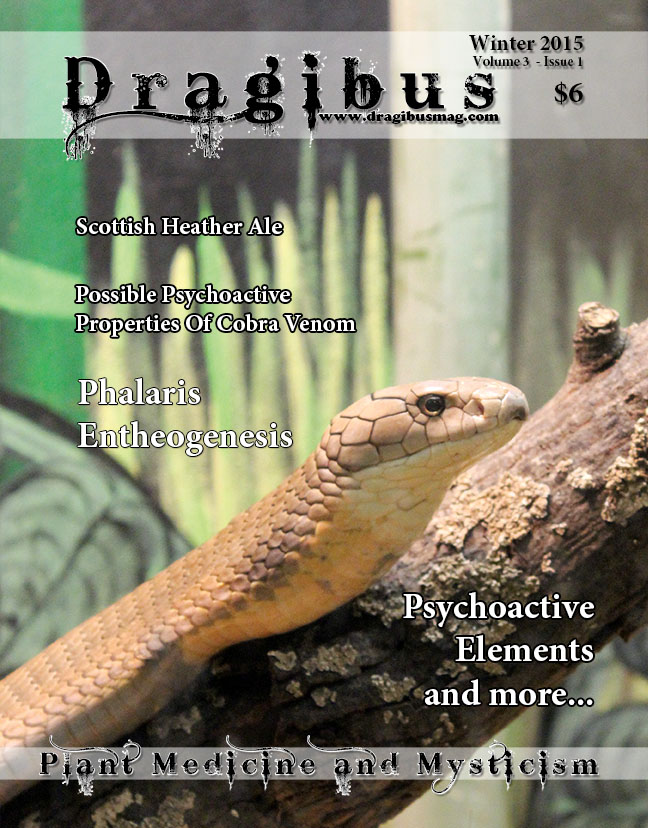 Dragibus Magazine - Volume 3 Issue 1