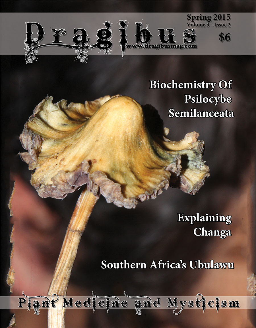 Dragibus Magazine - Volume 3 Issue 2