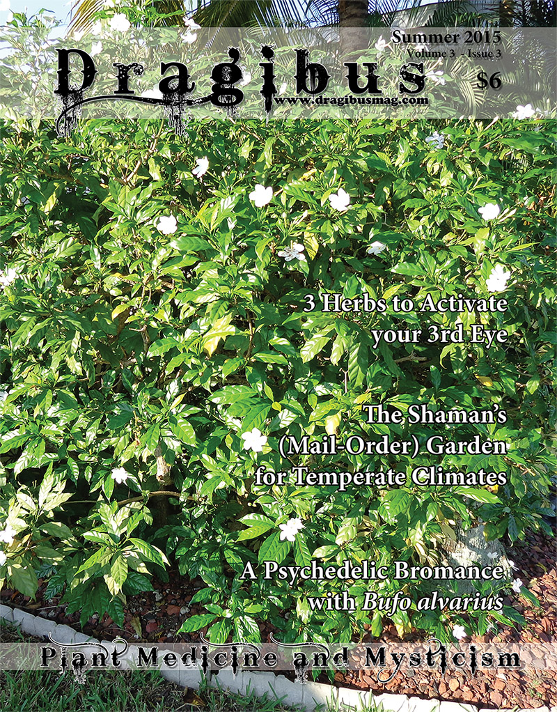 Dragibus Magazine - The Shamans (Mail-Order) Garden, 3 Herbs to Activate Your 3rd Eye, A Psychedelic Bromance with Bufo alvarius